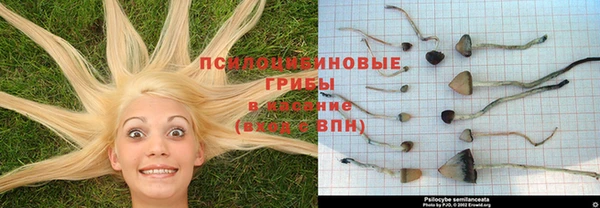 ПСИЛОЦИБИНОВЫЕ ГРИБЫ Пролетарск
