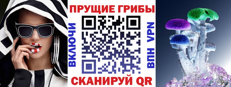 Псилоцибиновые грибы прущие грибы  Сысерть 